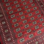 240 x 172cm Hand Knotted Karachi Bokhara – Wool Rug - Image 2