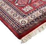 184 x 120cm Hand Knotted Tribal Shirwan – Wool Rug - Image 4