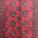 186cm x 99cm Hand-Knotted Red Bokhara Afghan Akche – Wool Rug - Image 4
