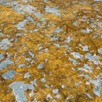 Ultra Vintage Reload Mustard Rug