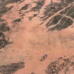 285 x 200cm Ultra Vintage Blush Pink & Charcoal Hand-Knotted Persian Rug - Image 4