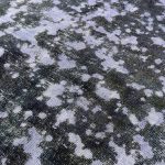 300 x 274cm Ultra Vintage Abstract Lavender & Charcoal Hand-Knotted Persian Rug - Image 6