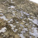 356 x 237cm Hand Knotted Ultra Vintage Olive Green Distressed Persian Rug - Image 6
