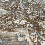 290 x 200cm Milat Aspendos Cream & Gold Vintage-Style Medallion Rug - Image 7